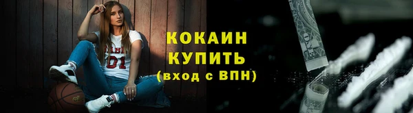 мдпв Каменногорск