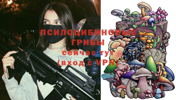 apvp Касимов