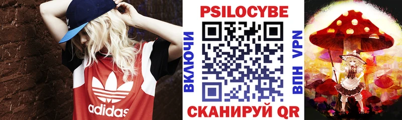 блэк спрут вход  Нюрба  Псилоцибиновые грибы ЛСД 